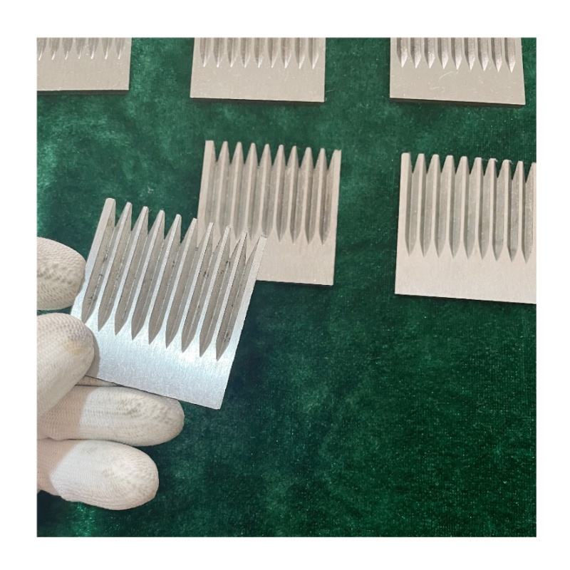 Serrated Blade 5
